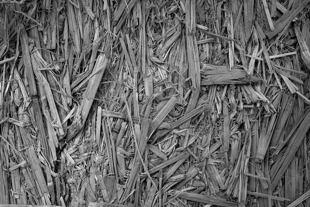 Background with detail of straw black and white