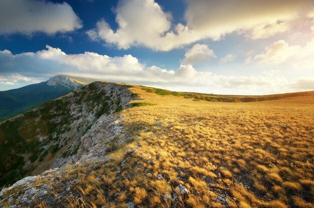 Beautiful landscape Composition of nature