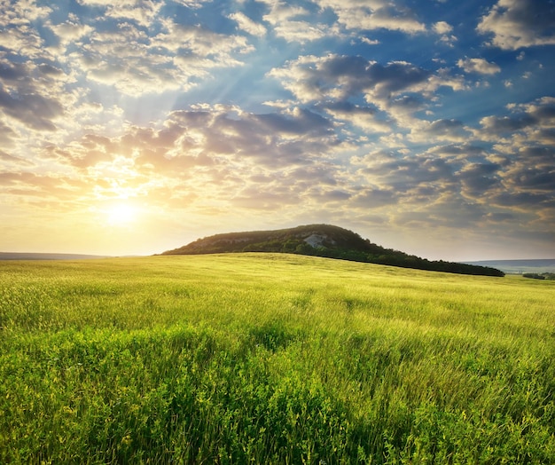 Beautiful landscape spring meadow Nature composition