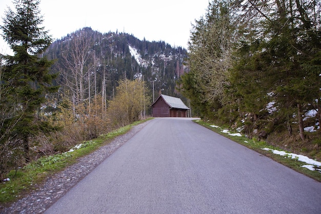 Beautiful path to the sea eye in Poland The road to the forest High Tatras