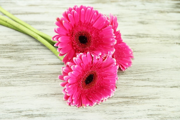 Foto bei fiori rosa della gerbera sulla tavola di legno