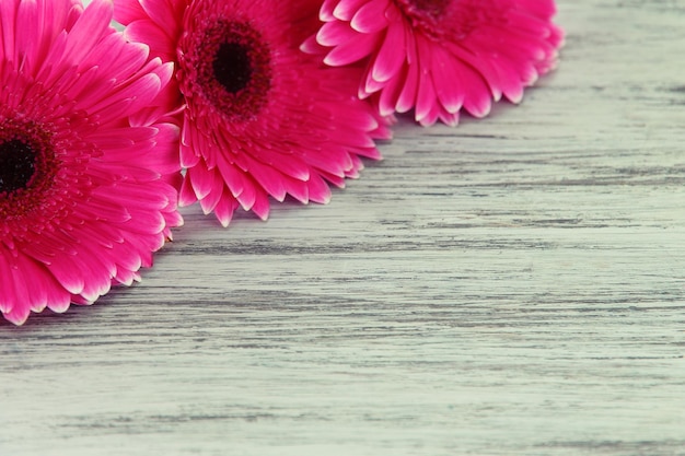 Foto bellissimi fiori di gerbera rosa su un tavolo di legno