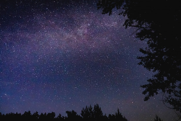 Beautiful starry sky