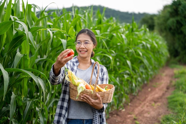 Photo beautiful young brunette portrait famer woman hand holding vegetables in the bamboo basket on green