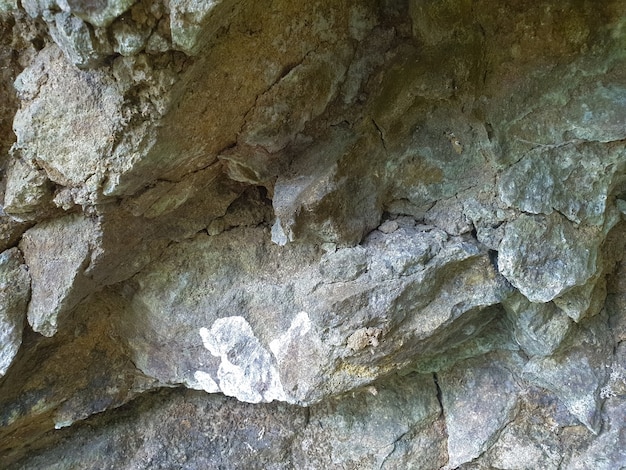 big stone wall in tropical forest