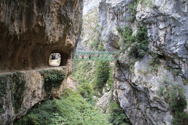 A bridge that crosses from wall to wall in the route of the cares In the peaks of Europe