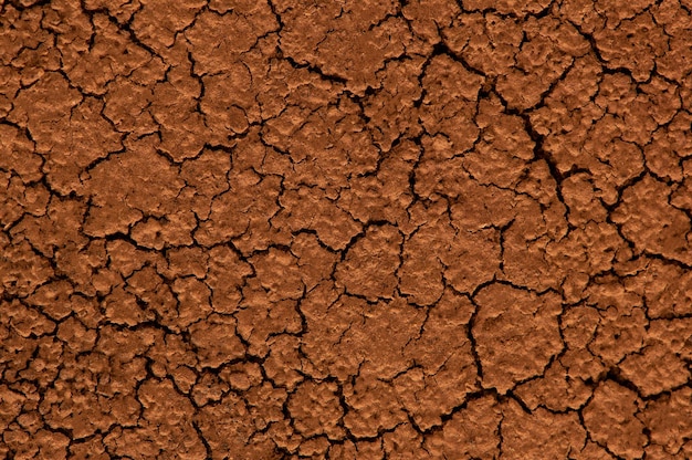 Photo brown dried cracked ground close up grunge background drought