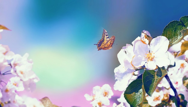 Butterfly and a beautiful nature view of spring flowering trees on blurred background