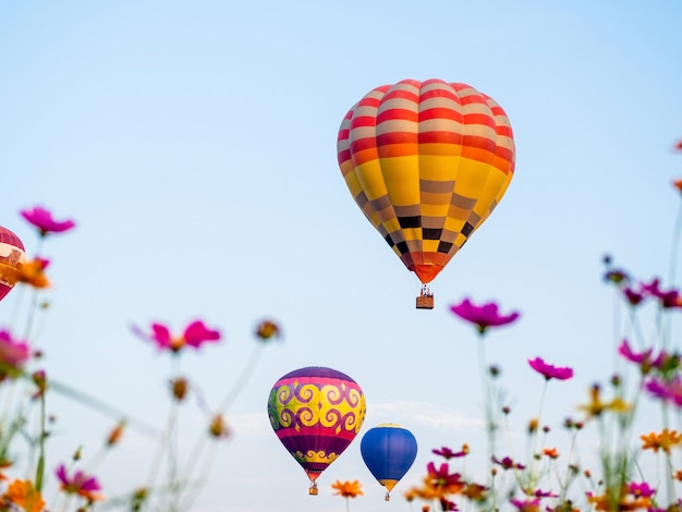 CHIANGRAI Thailand - FEBUARY 13 2019 : Singha Park ChiangRai International Balloon Fiesta 2019 in Singha Park, Chiang Rai, Thailand.