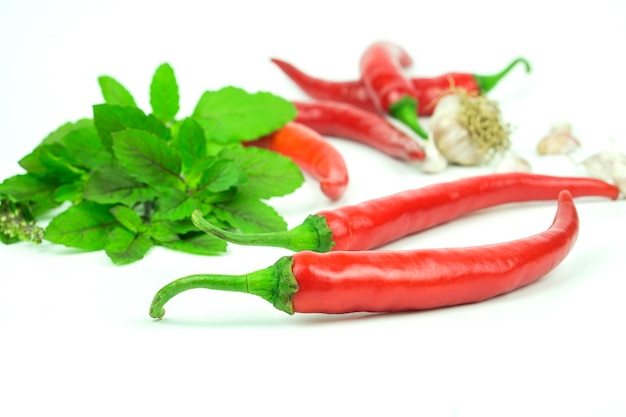 Chili, Garlic and Basil on a white background.