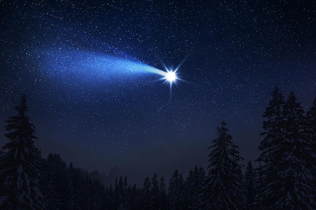 Christmas night The first star lit up in the winter forest with snow and the night starry sky Christmas Eve concept Comet falls in the starry night sky