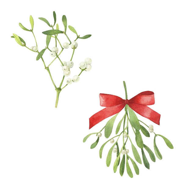 Photo christmas watercolor illustration mistletoe red ribbon hand drawn mistletoe twigs christmas