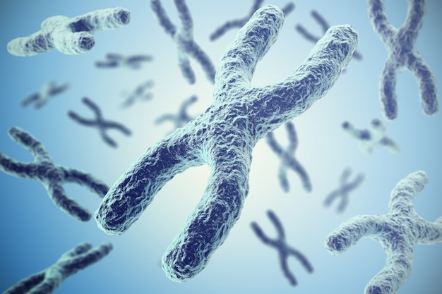 Photo chromosomes