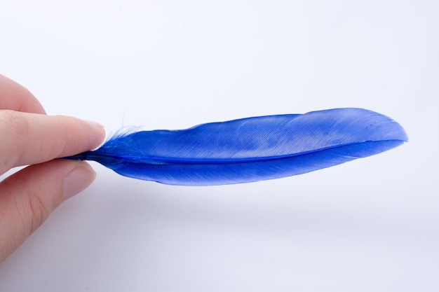 Photo close-up of hand holding blue feather against white background