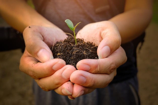 Close-up of hands holding plant