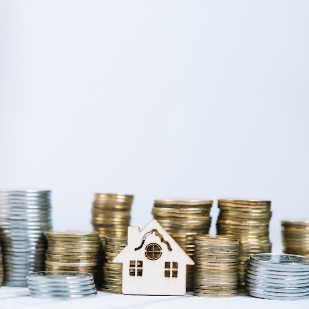 Close-up money and small house