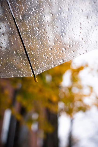 Photo close up of rain drops on a transparent umbrella showcasing numerous raindrops clinging to the surface