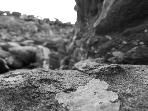 Foto close-up di roccia su parete di pietra