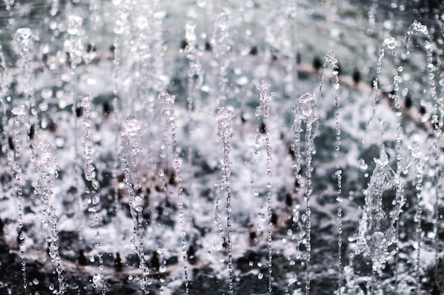 Photo close-up of wet plants during winter