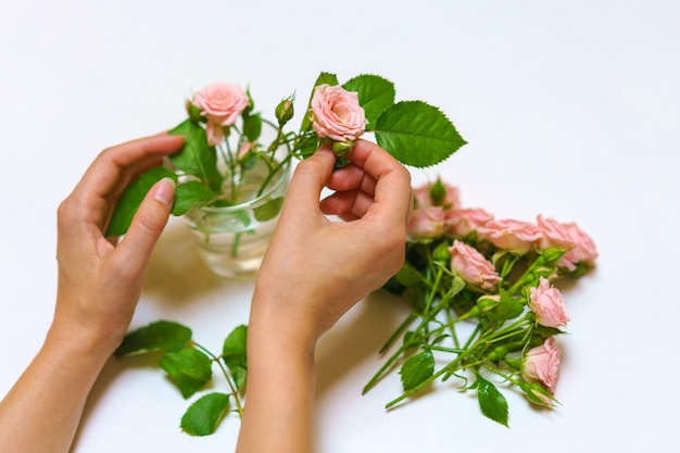 Close up of young woman florist hand creating bouquet of pink roses on a light background flower arr...