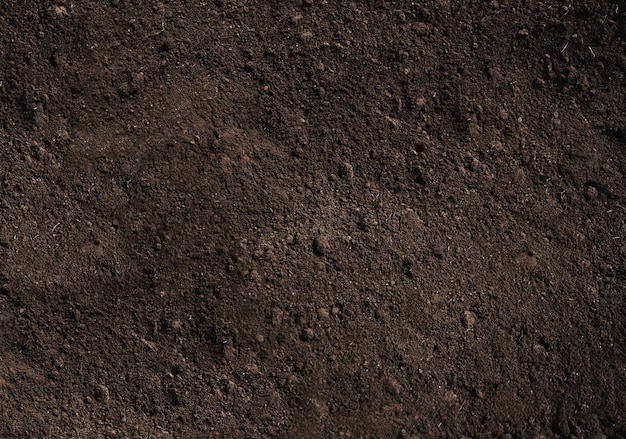 Photo closeup black color soil texture