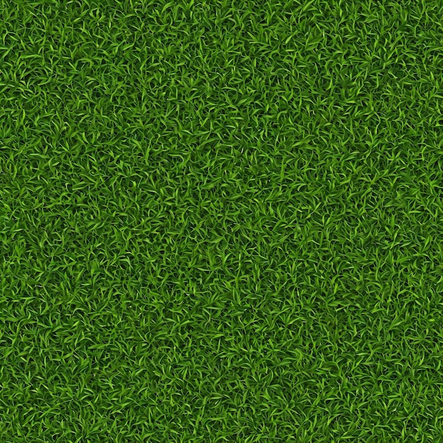 Photo closeup of a green grass field