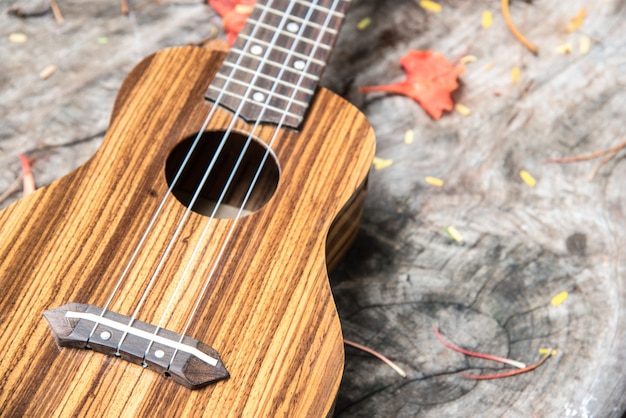 closeup ukulele on wooden table