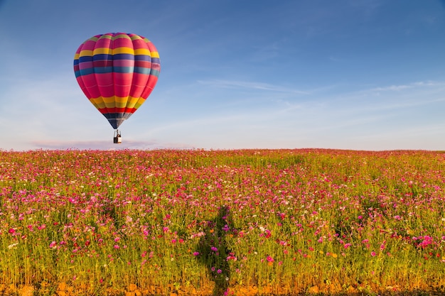 color hot air balloon in blue sky with cloud 