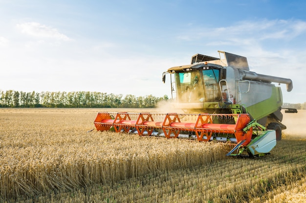 Combine harvester harvests ripe wheat. Concept of a rich harvest.