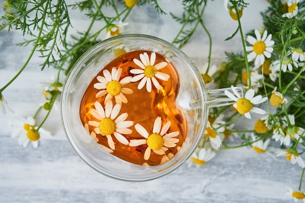 Photo cup of natural herbal tea, with chamomile flowers on gray