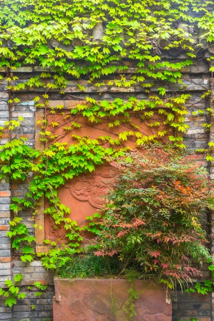 De rode muren zijn bedekt met groene planten