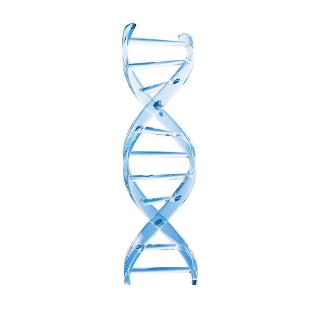 Photo dna with biology and chemical concept 3d rendering