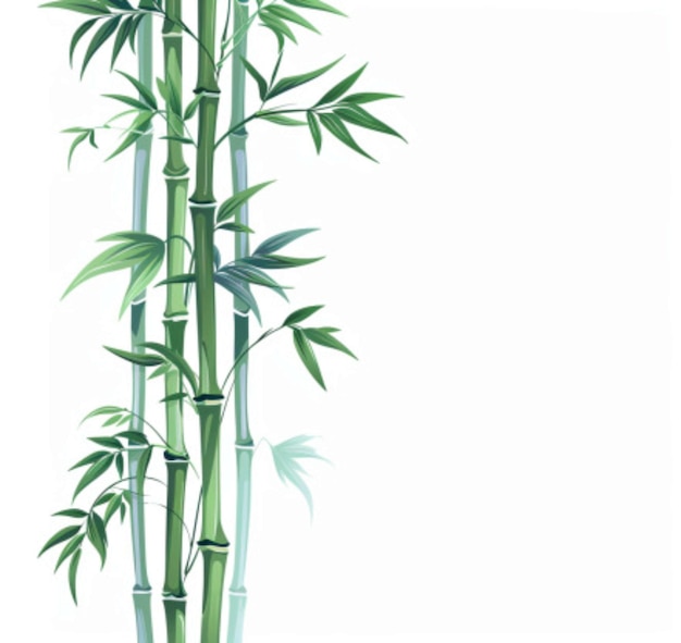 Photo a drawing of a bamboo with the word bamboo on it