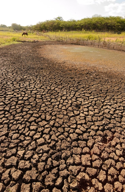 Photo dry and cracked ground caused by drought in paraiba, brazil. climate change and water crisis.