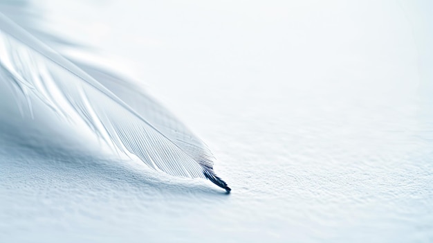 Foto een enkele witte veer op blank papier terug naar school schrijven minimalistische voorraadfoto