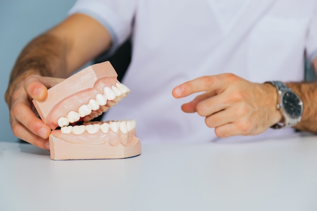 Photo fake dentures- a dental technician holds a fake jaw in his hand.