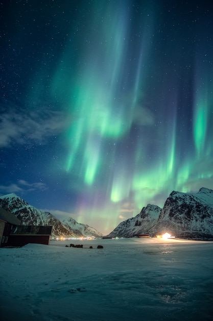 Photo fantastic green aurora borealis, northern lights with stars glowing on snowy mountain in the night sky on winter at lofoten islands, norway