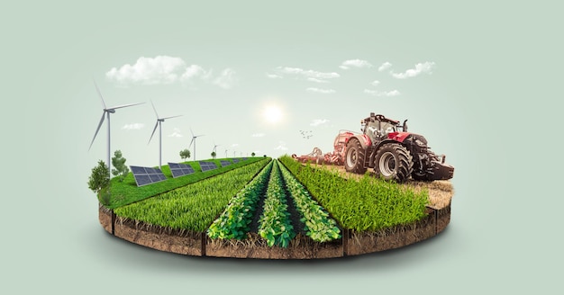 Photo a farm and solar panels are shown in this illustration.