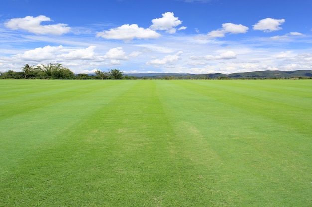 Photo field green grass blue sky with cloud cloudy landscape background