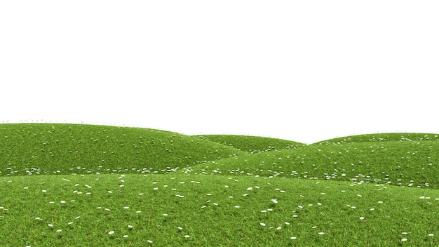 Photo field with grass and daisies