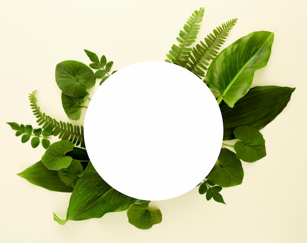 Flat lay of assortment of leaves with copy space