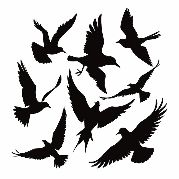 Photo a flock of birds in a circle with a white background