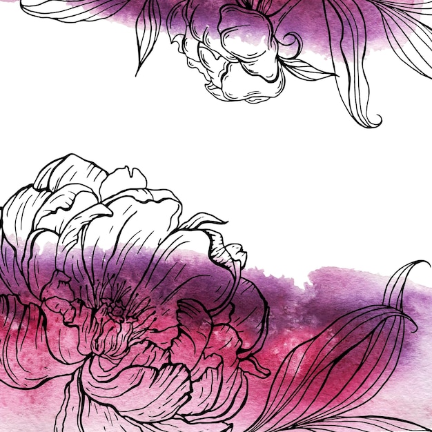 Floral elements romantic natural graphic drawn peony flowers with watercolor textures