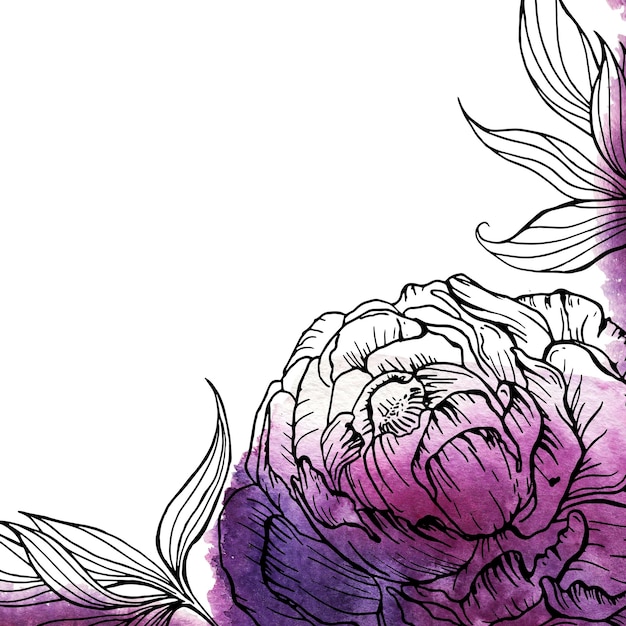 Floral elements romantic natural graphic drawn peony flowers with watercolor textures