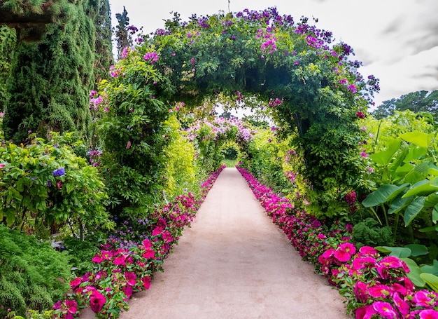 Footpath under a beautiful arch of flowers and plants