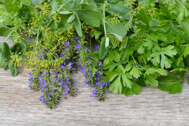 Fresh aromatic herbs on old wooden