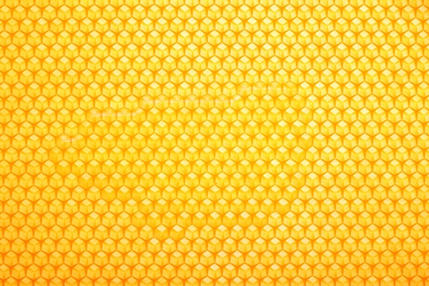 Photo fresh comb honey background texture