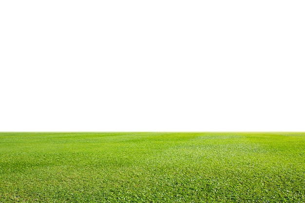 Photo fresh green grass lawn isolated on white background