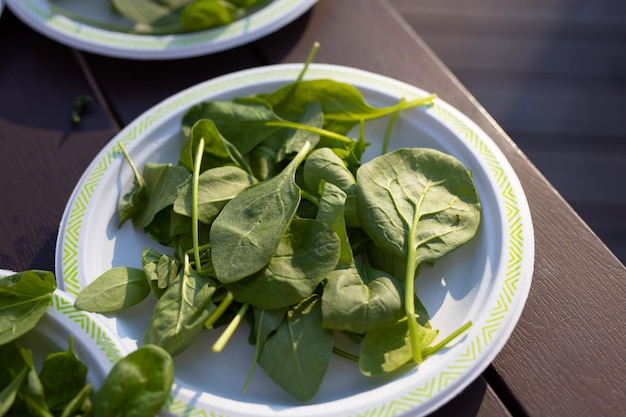 fresh green spinach in a salad bowl