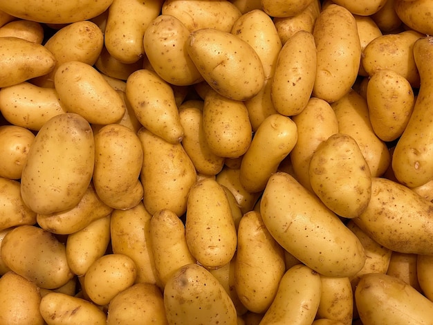 Fresh potato background in the market